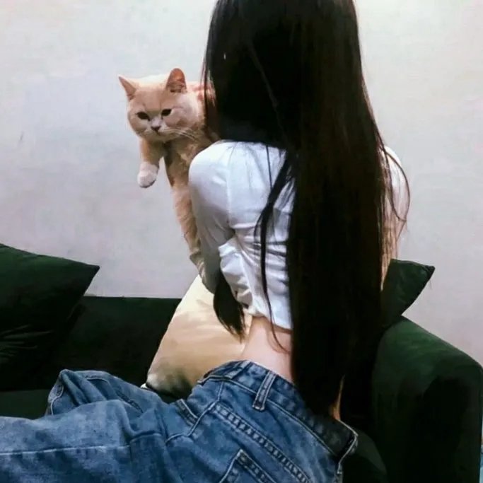 心有猛兽